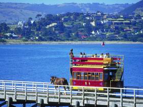 Granite Island Recreation Park - Taree Accommodation 0