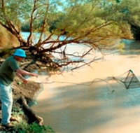 Charleville - Ward River Fishing Spot - Taree Accommodation