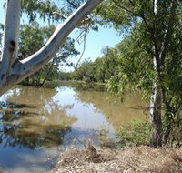 Red Bank Park - Taree Accommodation