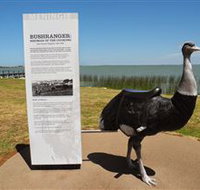 Birdman of the Coorong - Taree Accommodation