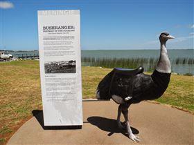 Birdman Of The Coorong - Taree Accommodation 0