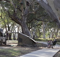 Wallam Creek Bollon - Taree Accommodation