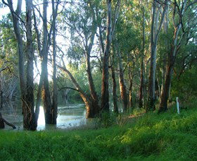 Five Rivers Fishing Trail - Taree Accommodation 4