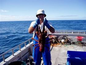 Lacepede Seafood - Taree Accommodation 2