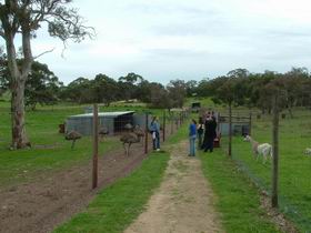 Avenue Range ACT Taree Accommodation