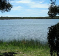 Lake Fellmongery Ski Lake - Taree Accommodation