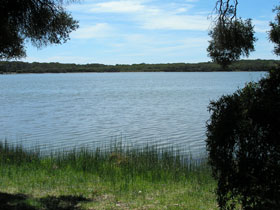 Lake Fellmongery Ski Lake - Taree Accommodation 0
