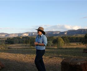 Bandana Station Sunsets - Taree Accommodation 3