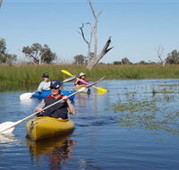 Marsh Meanders - Taree Accommodation