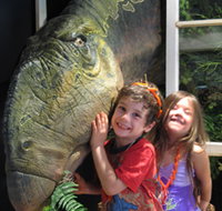 Australian Opal Centre - Taree Accommodation