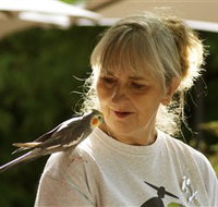 Simply Tomatoes - Taree Accommodation