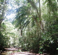 Mount Lewis National Park - Taree Accommodation