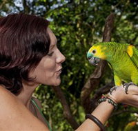 Birdworld Kuranda - Taree Accommodation