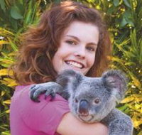 Kuranda Koala Gardens - Taree Accommodation