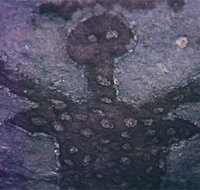 Quinkan Reserves Ancient Rock Art - Taree Accommodation