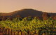 Taltarni Vineyards - thumb 0