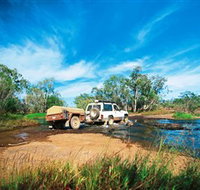 Rinyirru Lakefield National Park CYPAL - Taree Accommodation