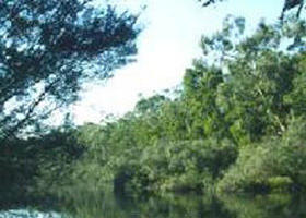 Crawford River Regional Park - Taree Accommodation 0