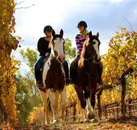 Billabong Ranch - Taree Accommodation
