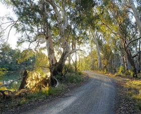 Alton Gallery - Echuca Moama Artists - Taree Accommodation 0