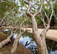Oyala Thumotang National Park CYPAL - Taree Accommodation