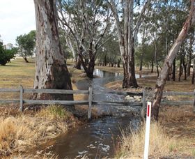 Mackereth's Hedon Farm - Taree Accommodation 2