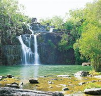 Cedar Creek Falls - Taree Accommodation