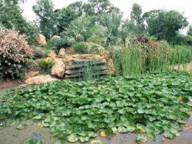 Duaringa ACT Taree Accommodation