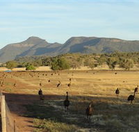 Emu Logic - Taree Accommodation