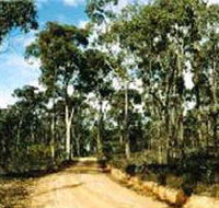 Paddys Ranges State Park - Taree Accommodation
