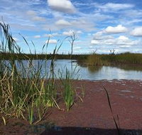 Gwydir Wetlands - Taree Accommodation