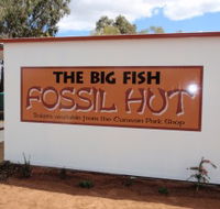 Big Fish Fossil Hut at Peak Hill