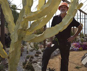 Cactus Country - Taree Accommodation 0