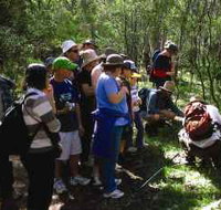 Warrumbungle National Park Discovery Program - Taree Accommodation