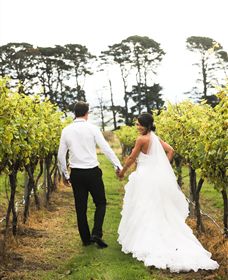 Quoin Hill Vineyard - Taree Accommodation 2