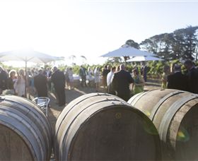 Quoin Hill Vineyard - Taree Accommodation 6