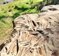 Terramungamine Rock Grooves - Taree Accommodation