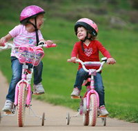 Tracker Riley Cycleway - Taree Accommodation