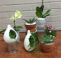 Cobram Florist - Taree Accommodation