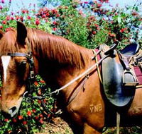 Western Plains Riding Centre - Taree Accommodation