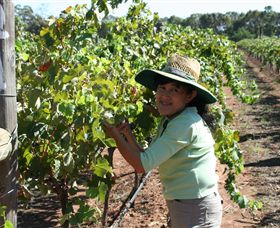 Domaine Asmara - Taree Accommodation 6