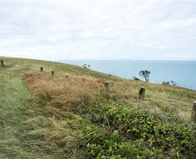 Cape Palmerston National Park - Taree Accommodation 3