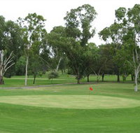 Moree Golf Club - Taree Accommodation