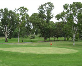Moree Golf Club - Taree Accommodation 0