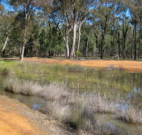 Beni State Conservation Area - Taree Accommodation