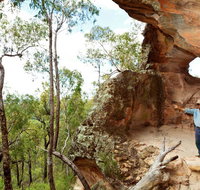 Pilliga National Park - Taree Accommodation