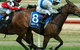 Ballarat Turf Club - thumb 3