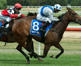Ballarat Turf Club - Taree Accommodation 3