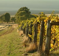 Captains Creek Organic Wines - Taree Accommodation