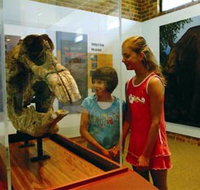 Australian Museum Diprotodon Exhibition - Taree Accommodation
